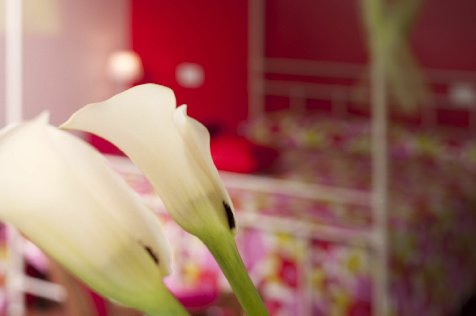 Antico Granaione Bed & Breakfast Rapolano Terme Exterior foto